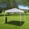 Impact Canopy Portable 8x8 Slant Pop Up Q-Shade High Performance Lightweight Outdoor Canopy KIT, Light Grey 040001013 - alternate 2
