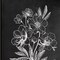 Homeroots Set Of Two Vintage Chalkboard Blooms Black Framed Print Wall Art, 2PK 407975 - alternate 2