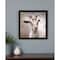 Homeroots Up Close Goat Black Framed Print Wall Art 415417 - alternate 2