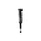 Fcs Struts Suspension Strut And Coil Spring Assembly 1345978R - alternate 1