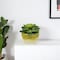Homeroots 4" Green Succulent Artificial Succulent in a White And Yellow Pot 526889 - alternate 1