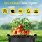 Ipower Plant Grow Bag 3 Gallon Heavy Duty Fabric Pots, 300g Thick Nonwoven, Black 2024 Version, 6PK GLGROWBAG3X6BLK - alternate 3
