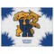 Holland Bar Stool Co University of Kentucky (Cat) Logo 24"x32" Canvas Wall Art LCnvs2432UKYCat - alternate 1