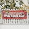 Signmission Sweet & Juicy Watermelon, 24 Inch x 72 Inch, Vinyl Banner B-72-30874 - alternate 3
