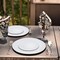 Smarty Had A Party 10.25" White with Silver Rim Organic Round Disposable Plastic Dinner Plates (120 Plates), 120PK 930WHS-CASE - alternate 2