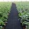 Vevor Woven Ground Cover Weed Barrier 5.8oz Landscape Fabric 3'x 300' Garden Mat VV-FCB-PE 3*300FT 5.8OZ - alternate 2