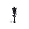 Fcs Struts Suspension Strut And Coil Spring Assembly 1355037 - alternate 1