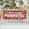Signmission Farm Fresh Pumpkins, 48 Inch x 120 Inch, Vinyl Banner B-120-30612 - alternate 2