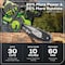 Greenworks 24V 10'' Chainsaw with 2.0 Ah USB Battery & Charger 2020102 - alternate 2