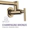 Anzzi Braccia Series 24" Wall Mounted Pot Filler in Champagne Bronze KF-AZ258CB - alternate 2