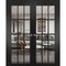 Sartodoors Sliding French Double Pocket Doors, Felicia 3355 Matte Black with Clear Glass, Kit Trims Rail Hard FELICIA3355DP-BLK-48 - alternate 1