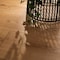 Ackland Sterlington Carroway 7.5 in. x 75 in. Engineered Hardwood Flooring, 0.5 in. thick, 9PK AKVEWCARR7.5X75-0502-CA - alternate 1