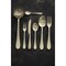 Mepra Natura Ice Champagne Flatware  Set - 5 Pcs. 103422005IC - alternate 2