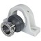 Edt PILLOW BLOCK BEARING NA1GCP-16-LK - alternate 2
