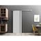 Sartodoors Sliding Barn Door with 6.6ft Hardware, Planum 0011 Matte Grey and Aluminum Strips, Rail Hangers Stu PLANUM0011BD-S-GRE-30 - alternate 1