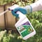 Bonide Weed Beater Weed Killer RTU Liquid 32 oz 307 - alternate 3