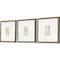 Homeroots Set Of Three Antique Botanical II Gold Framed Print Wall Art, 3PK 525895 - alternate 2
