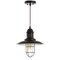 Jonathan Y Deere 12" Adjustable Iron/Glass Cage Light LED Pendant, Black JYL9537A - alternate 2