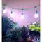 Miracle Led Craft Grow Light Kit, Periwinkle Magic Purple Spectrum Absolute Daylight+, 2PK 803419 - alternate 2