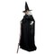 Santas Forest Animated Witch w/Cane, 6 ft H, Metal, PVC, Internal Light/Music: Internal Sounds, Indoor/Outdoor 56911 - alternate 1