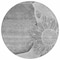Homeroots 8' Gray Silver And Charcoal Round Floral Washable Indoor Outdoor Area Rug 582250 - alternate 4