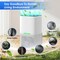 Edendirect 0.95 pt. 160 sq. ft. with Bucket Dehumidifier in White with Sleep Mode, 24H Timer, 7-Color Top Light ZRD3-1 - alternate 2