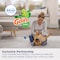 Febreze Bissell Floral. Original Gain Scent Carpet Cleaner 32 fl. oz. Liquid 3968 - alternate 3