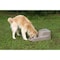 Dakota 283 Dash 5.0 Watering System With Dakota Guard Antimicrobial - Coyote Granite D2-AM-DASH5.0-COY - alternate 3