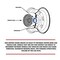 Coyote Wheel Accessories WHEEL ADAPTERS 6 x 1397 Millimeter 6 x 550 Inch Axle Bolt Circle 6 x 1397 Millimeter 6 x 550 6550-6550H-C931 - alternate 2