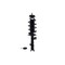 Fcs Struts Suspension Strut And Coil Spring Assembly 1331633R - alternate 1