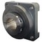 Edt FLANGEANGED BLOCK BEARING NA4E6-39 - alternate 2