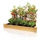Greenes 5.5 in. H X 48 in. W Cedar Raised Bed Planter Brown RC4S4B - alternate 2