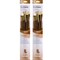 Princeton RealValue Brush Set, Long Handle Mixed Media Paintbrush, Brown, 6-Piece Set, 2PK PR9148 - alternate 1