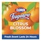 Clorox Multi-Purpose Cleaner, Bottle, 175 oz, Citrus Blossom, 3 PK 60615CT - alternate 4