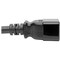 Eaton Tripp Lite Series Power Extension Cord, Locking C19 to C20 - Heavy-Duty, 20A, 100-250V, 12 AWG, 10 P036-L10 - alternate 2
