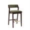 Manhattan Comfort Patricia Barstool in Turtle Green - Set of 3 3-BS026-GR - alternate 2
