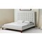 Homeroots Beige Solid Wood King Tufted Upholstered Linen Bed 544759 - alternate 3