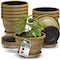Lifemaster 10-Inch Whiskey Barrel Planters, Durable Plastic Pots with Drainage and Saucers, 10PK LMPBP10GOD10 - alternate 1