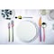 Mepra Due Ice Rainbow Flatware  Set - 5 Pcs. 104422005IA - alternate 2
