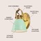 Jonathan Y Phineas 7" 1-Light Adjustable Farmhouse Bohemian Iron LED Vanity Light, Mint Green/Brass Gold JYL1114D - alternate 3