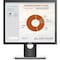 Dell P1917S 19IN LED LCD MON 12X10 DELL-P1917SE - alternate 2