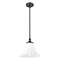 Z-Lite Fleur Matte Black 1 Light Pendant 1958P12-MB - alternate 2