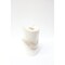 Intralox SERIES 1300 FLAT TOP POLYPROPYLENE WHITE CHAIN 12FT 17IN 170097 - alternate 1