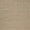 Homeroots 8' X 11' Beige and Brown Geometric Distressed Indoor Outdoor Area Rug 559077 - alternate 3