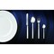Mepra Stile By Pininfarina Flatware  Set - 20 Pcs. - Mirror 107522020 - alternate 2