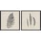 Homeroots Set Of Two Modern Ferns II Brown Framed Print Wall Art, 2PK 416365 - alternate 1