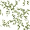 York Wallcoverings Creeping Fig Vine Green Wallpaper FH4036 - alternate 1