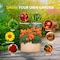 Ipower YSSOA Grow Bags 7 Gallon 300G Reusable Breathable Gardening Pots, Tan, 12PK GLGROWBAG7X6TANX2 - alternate 2