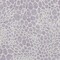 Homeroots 8' X 10' Lilac And Ivory Geometric Washable Indoor Outdoor Area Rug 595088 - alternate 4