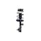 Fcs Struts Suspension Strut And Coil Spring Assembly 1334410R - alternate 2